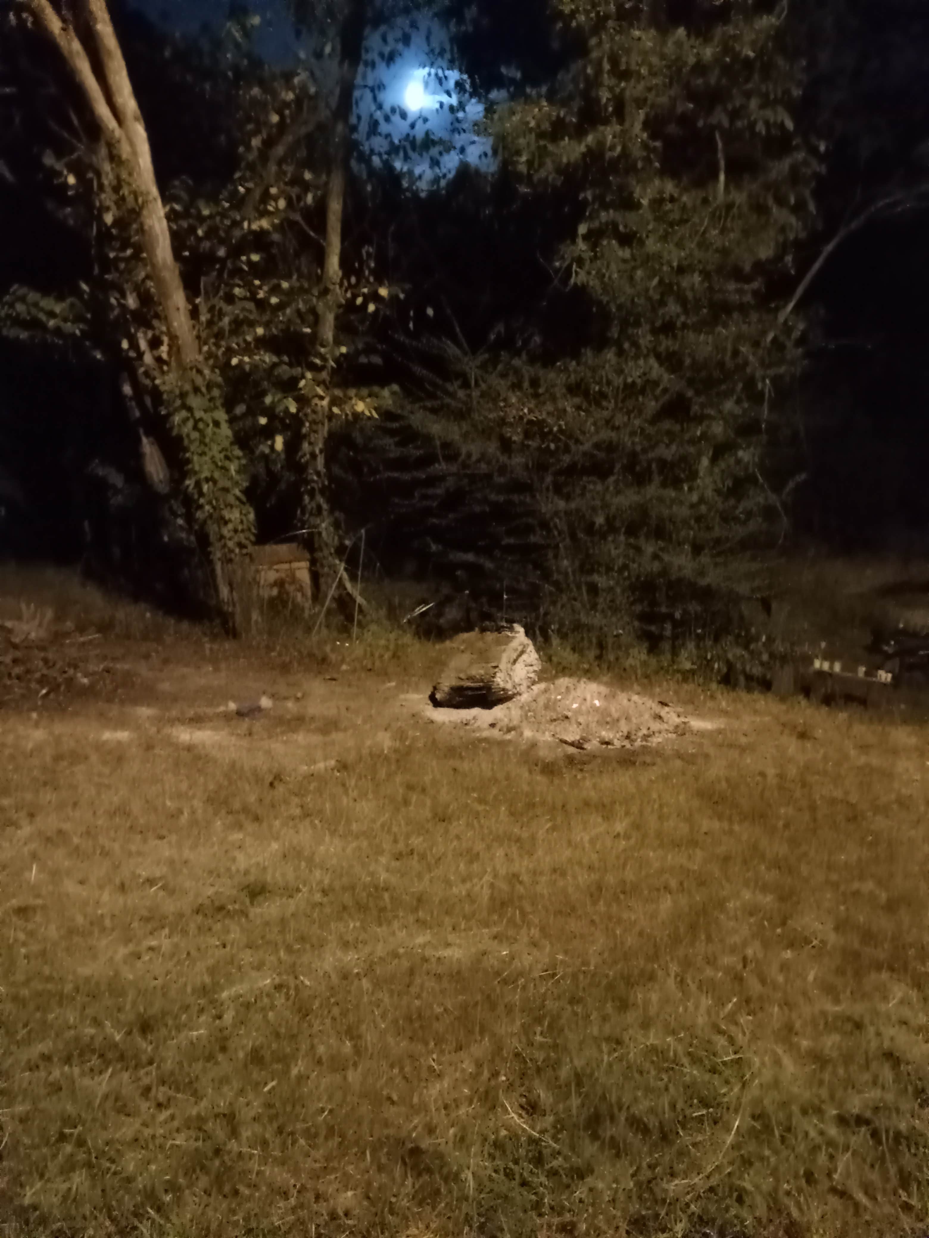 Camping near Oak Bower Group Use Area — Degray Lake: L's Branching Willow Estates, Bismarck, Arkansas