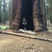 Review photo of Buckeye Flat Campground — Sequoia National Park by Sam M., October 30, 2018
