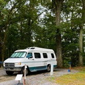 Review photo of Warriors' Path State Park Main Campground — Warriors' Path State Park by Pam H., September 4, 2023