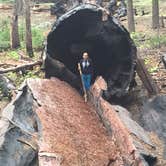 Review photo of Buckeye Flat Campground — Sequoia National Park by Sam M., October 30, 2018