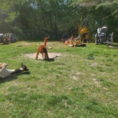 Review photo of Kellogg's Alpacas by Jennifer K., September 4, 2023