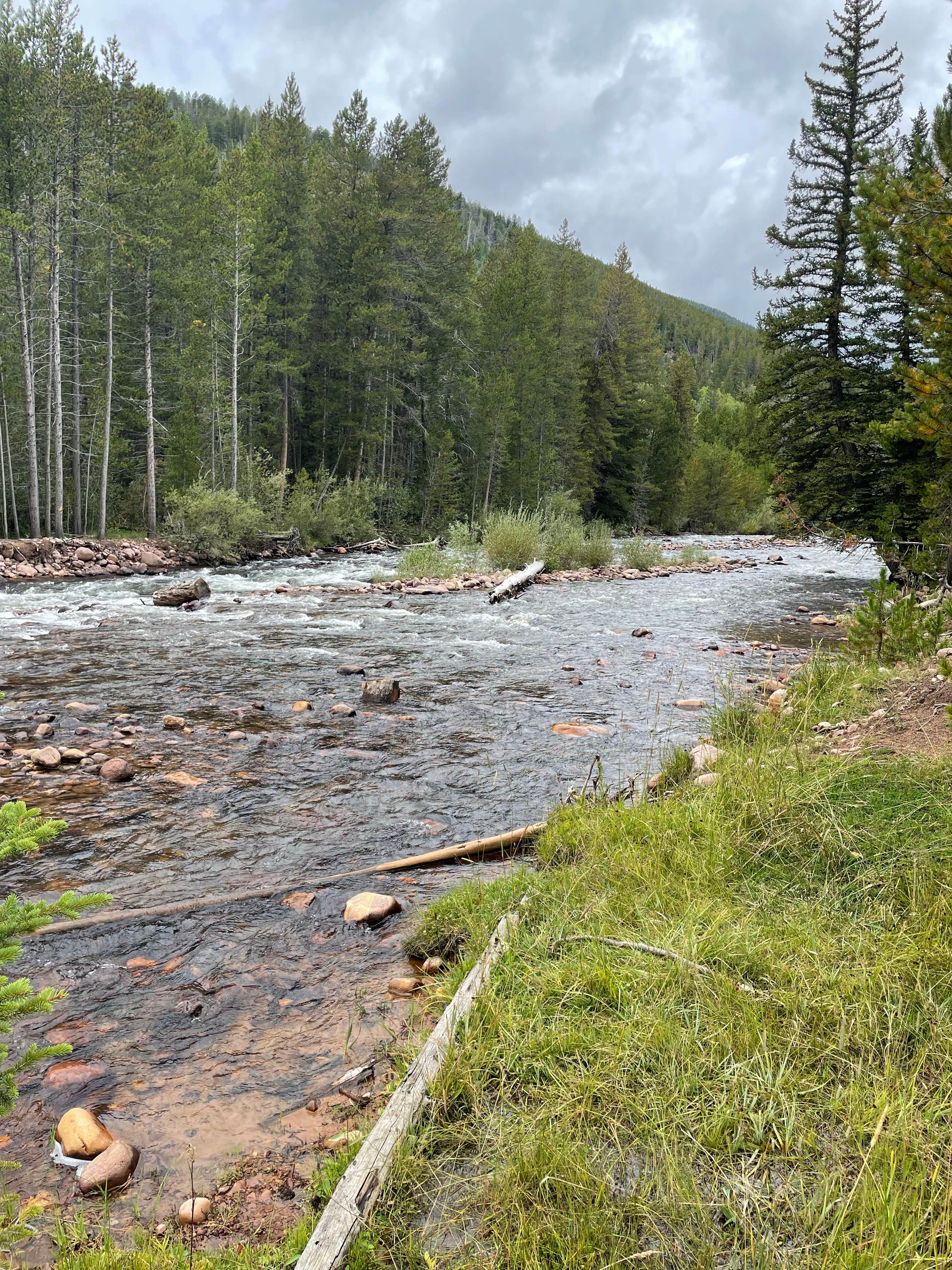 Camper-submitted photo at Ashley National Forest Riverview Campground near Neola, UT