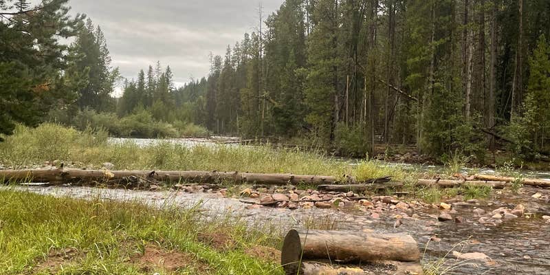 Camper submitted image from Ashley National Forest Riverview Campground