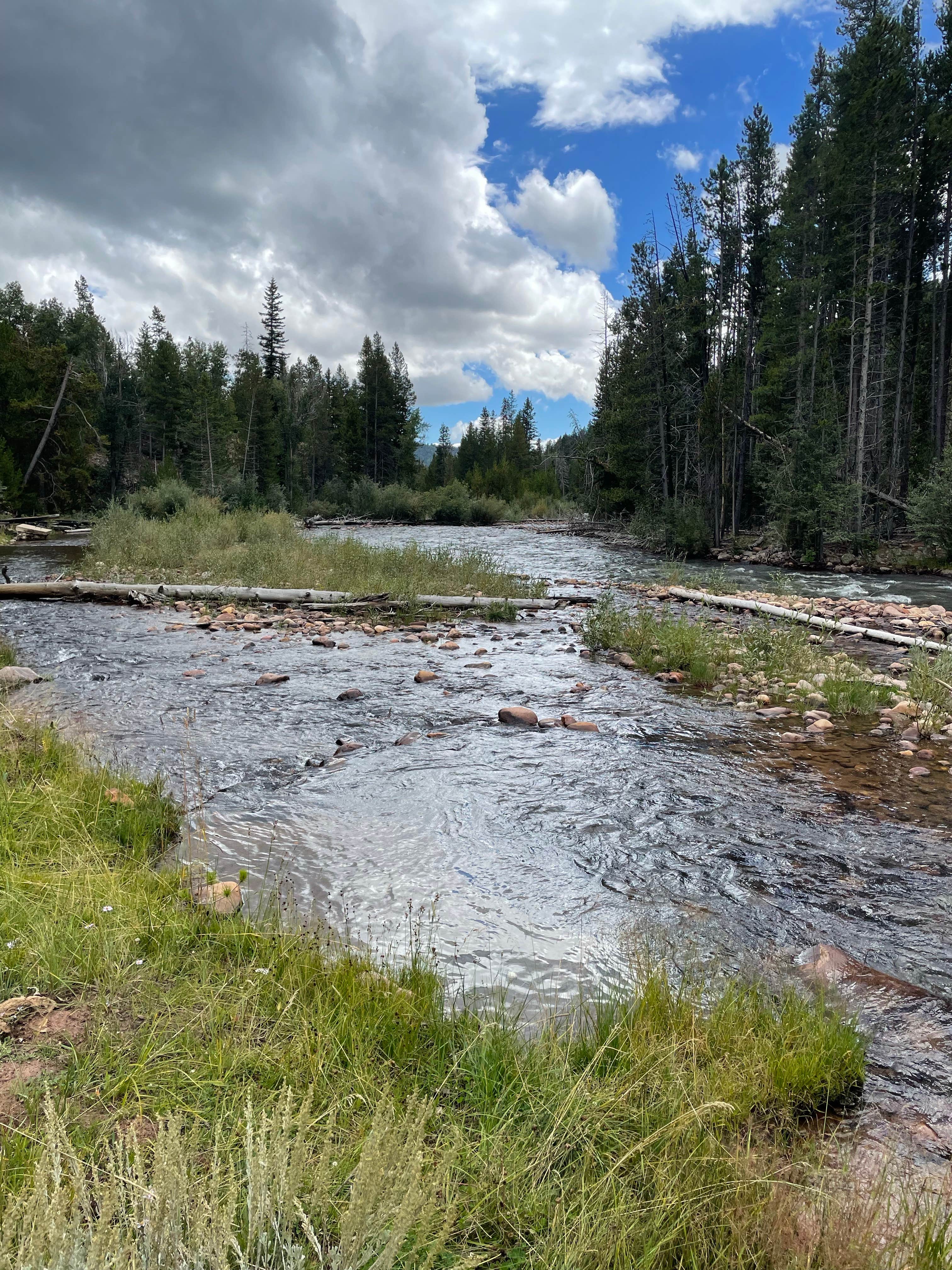 Camper-submitted photo at Ashley National Forest Riverview Campground near Neola, UT