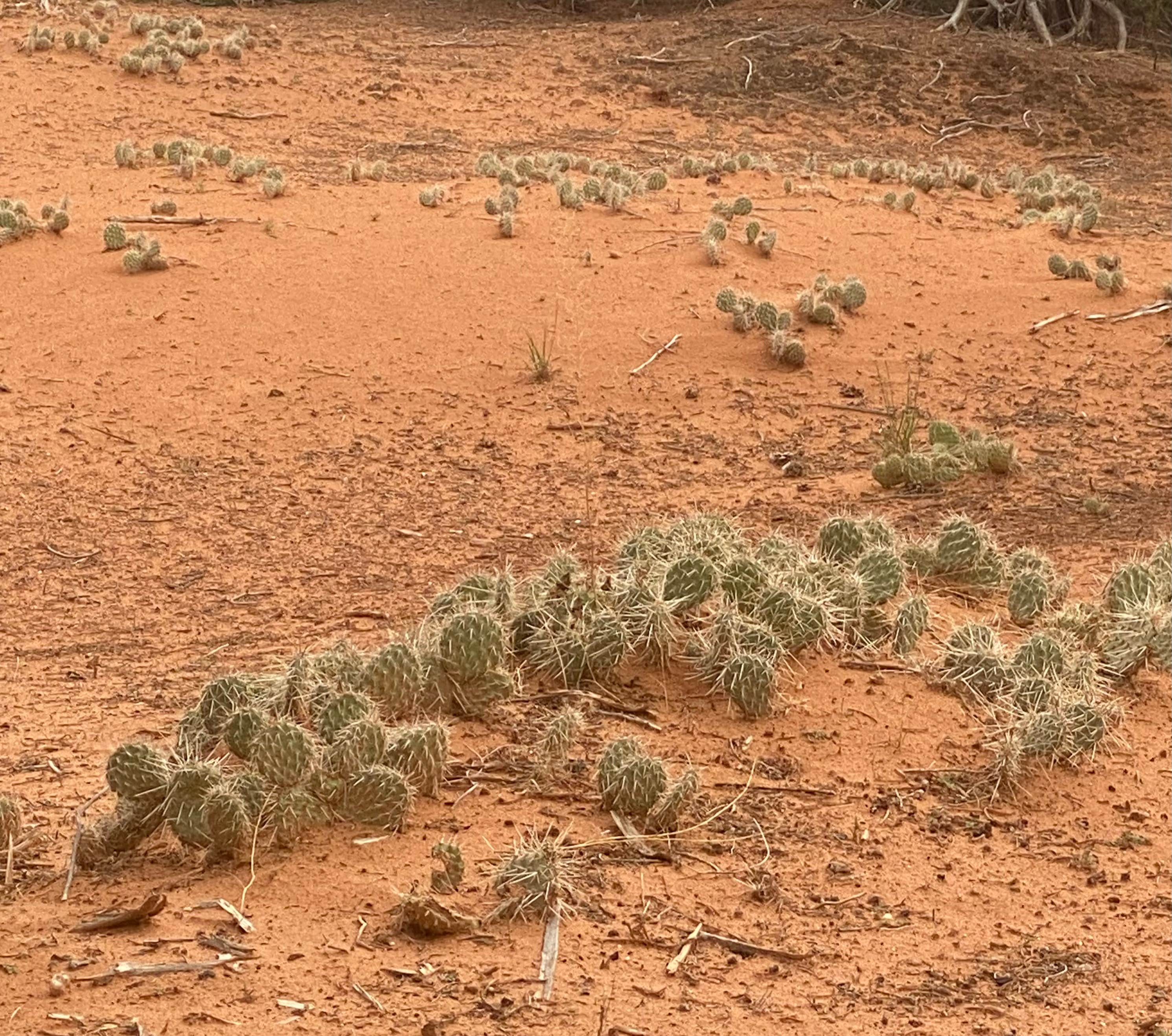 Burr trail outlet camping