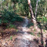 Review photo of Ross Prairie Campground by carmi G., September 4, 2023