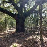 Review photo of Ross Prairie Campground by carmi G., September 4, 2023