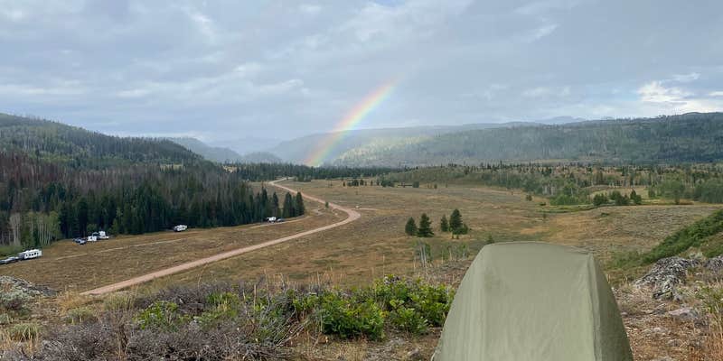 Camper submitted image from Elk River Dispersed