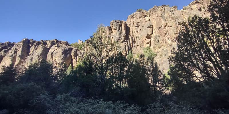 Camper submitted image from Upper Bluster Campground