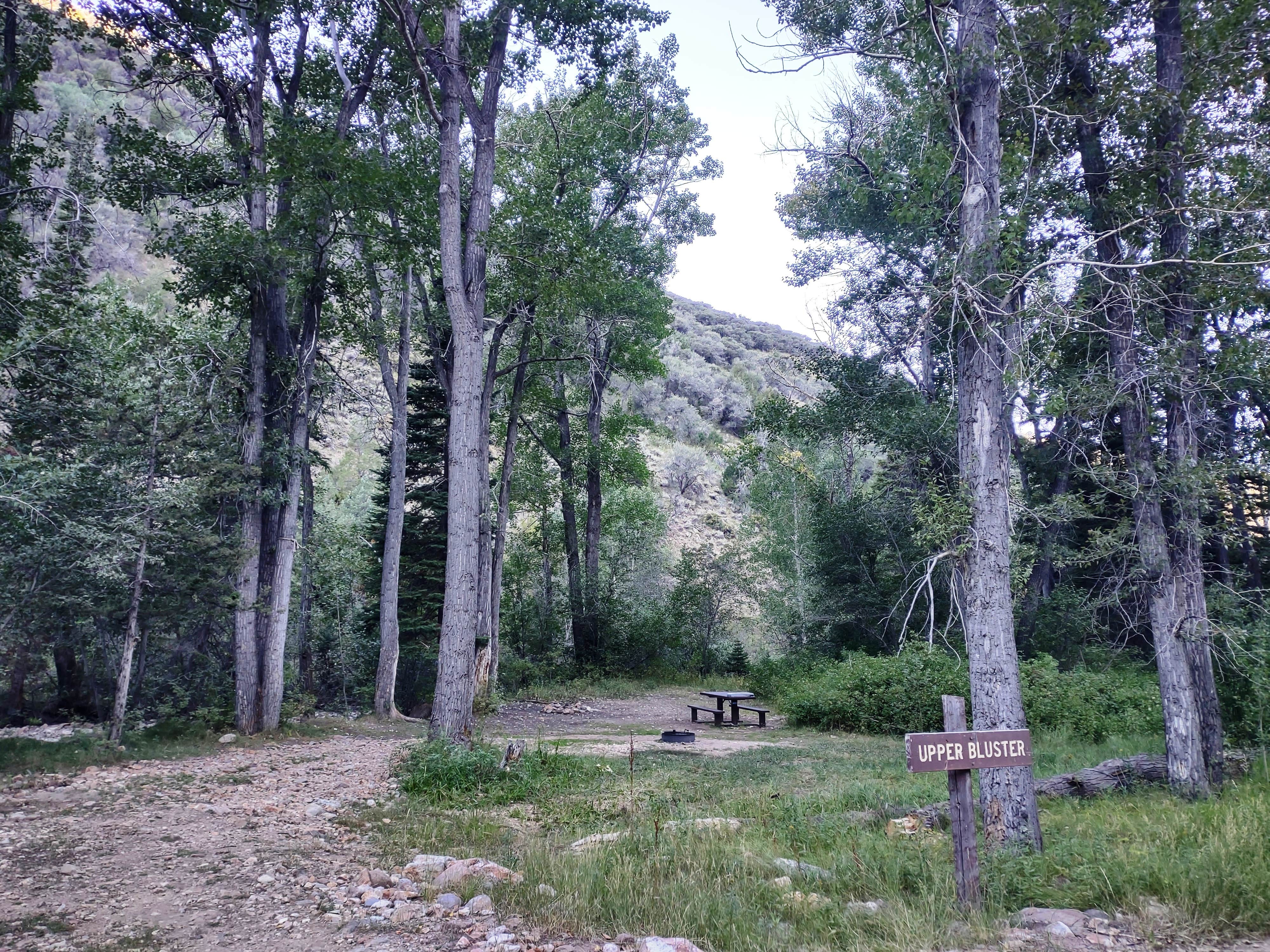 Camper submitted image from Upper Bluster Campground - 2