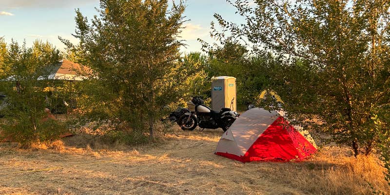 Camper submitted image from Saddle up Ranch