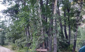 Beth M.'s photo at Lower Bluster Campground near Owyhee, NV