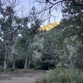 Review photo of Lower Bluster Campground by Beth M., September 4, 2023