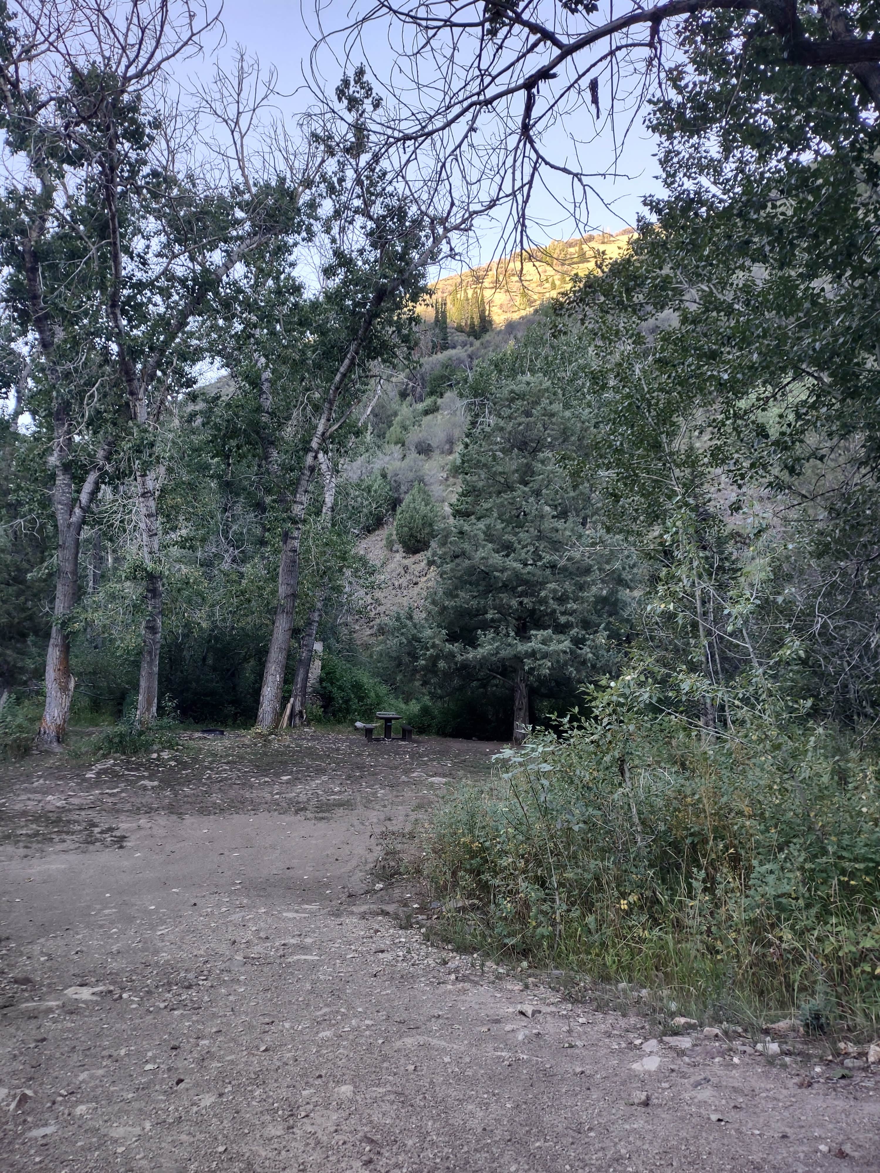 Camper submitted image from Lower Bluster Campground - 2