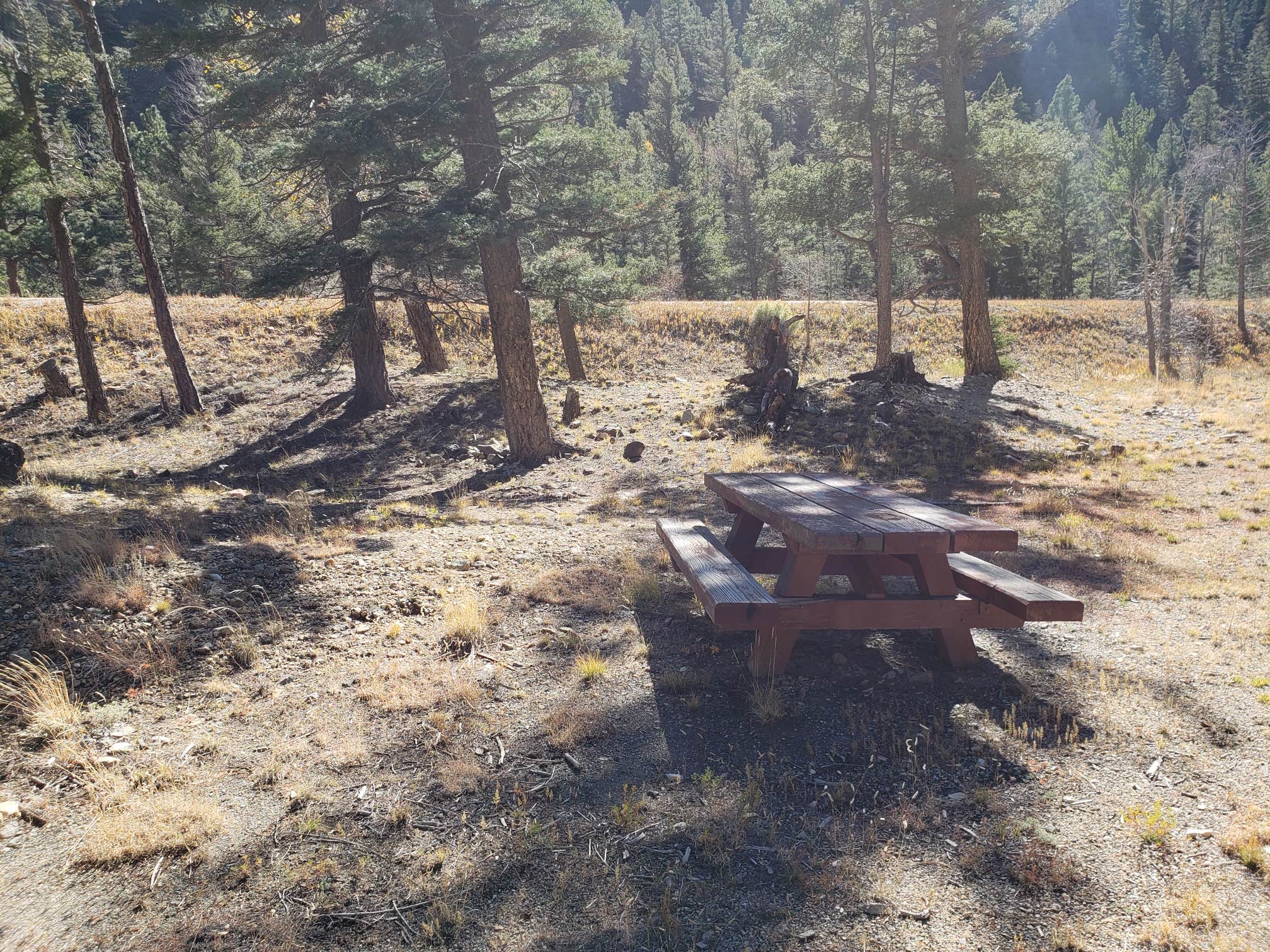 Camper submitted image from La Bobita Campground - Closed - 4