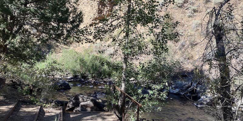 Camper submitted image from Juniper Grove Campground