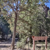 Review photo of Juniper Grove Campground by Beth M., September 4, 2023