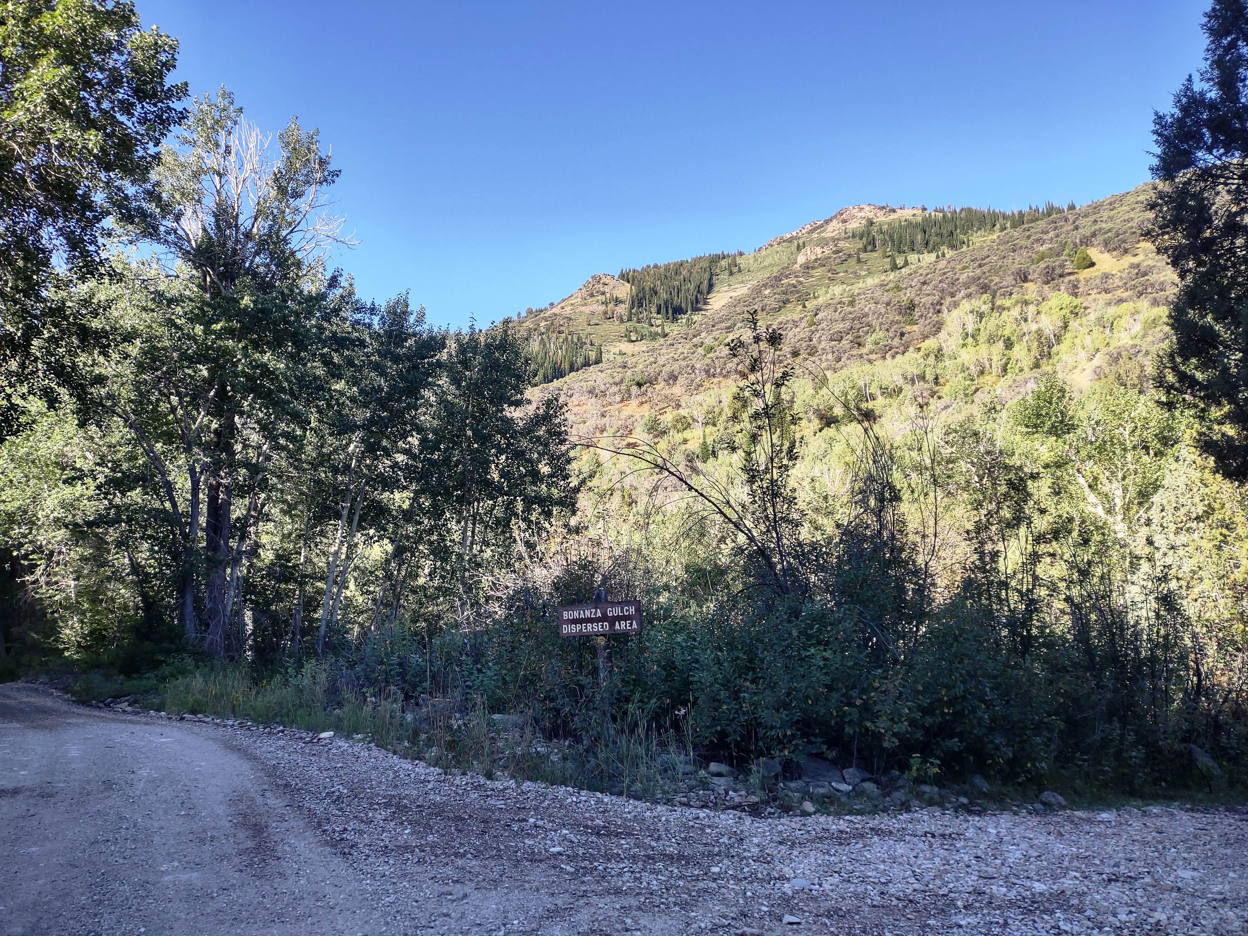 Camper-submitted photo at Bonanza Gulch near Owyhee, NV