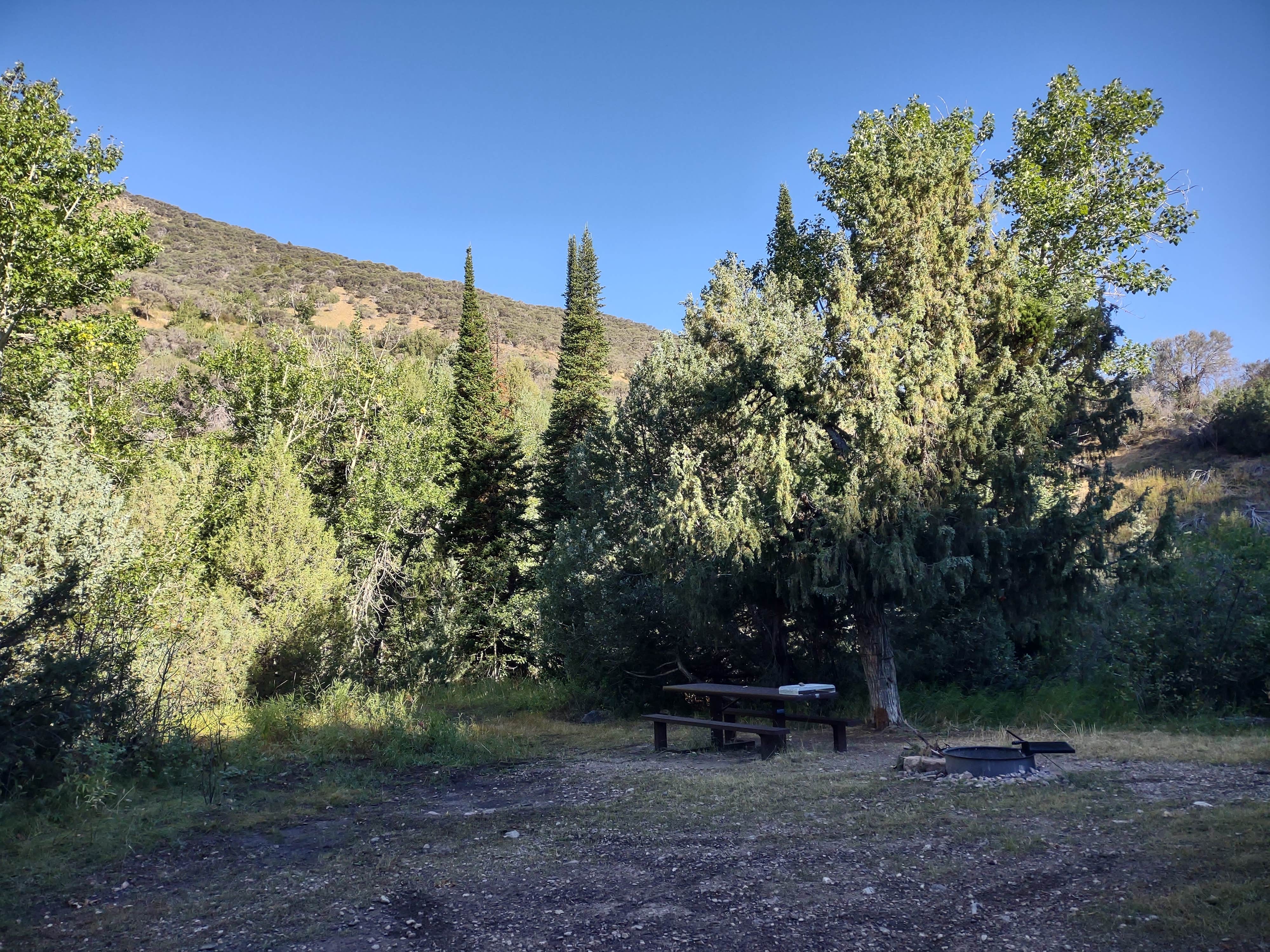 Camping near Jarbidge: Bonanza Gulch, Owyhee, Nevada