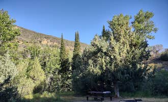 Camping near Copper Creek on Forest Road 067: Bonanza Gulch, Owyhee, Nevada