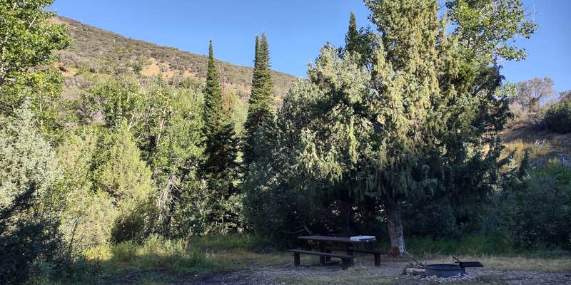 Camper submitted image from Bonanza Gulch