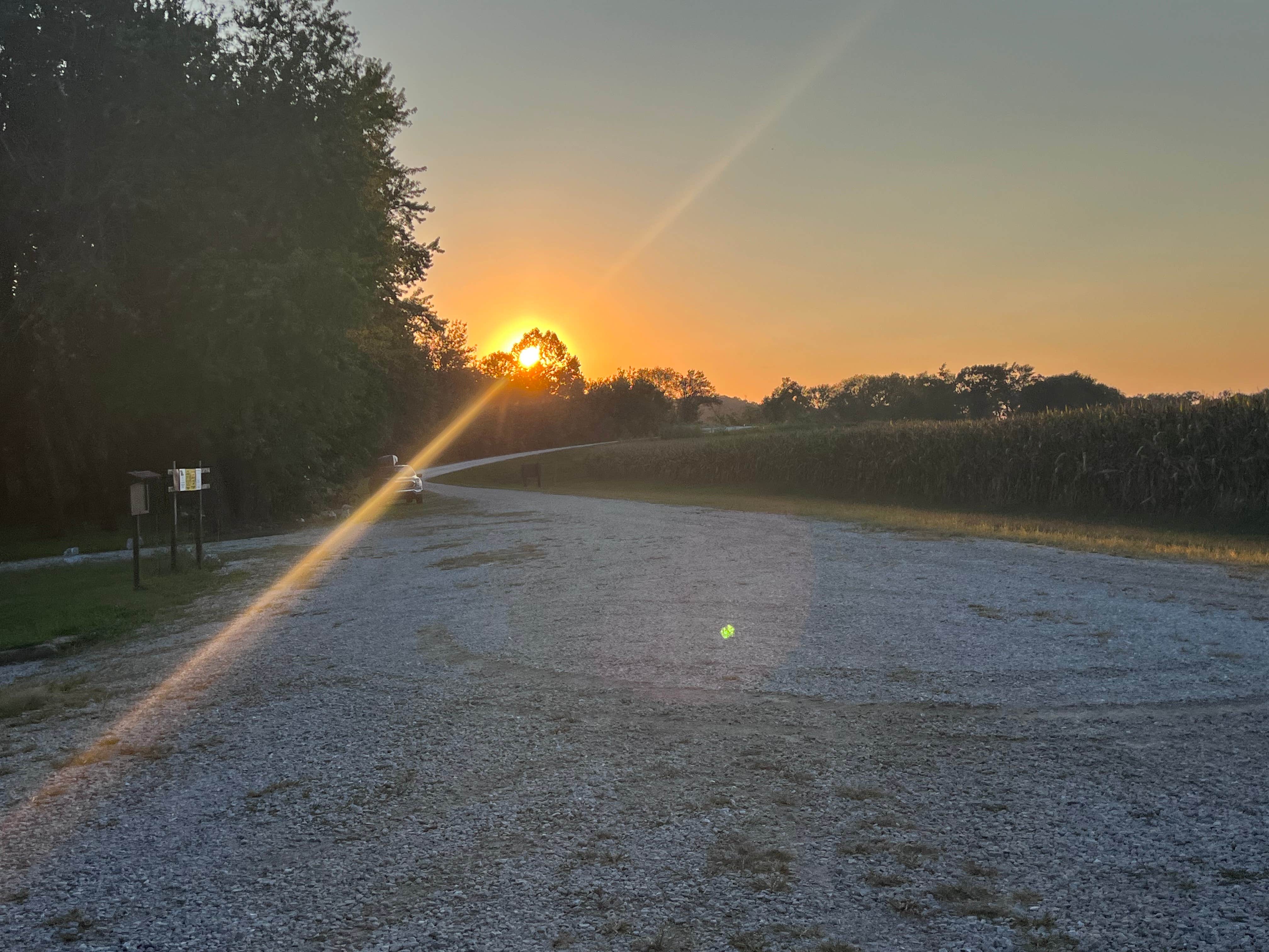 Richard M.'s photo of a dispersed camping area at Robert's Bluff near Prairie Home, MO