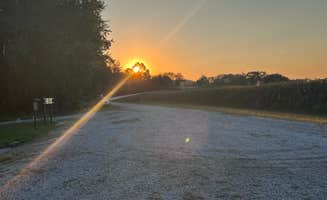 Richard M.'s photo of a dispersed camping area at Robert's Bluff near Warrensburg, MO