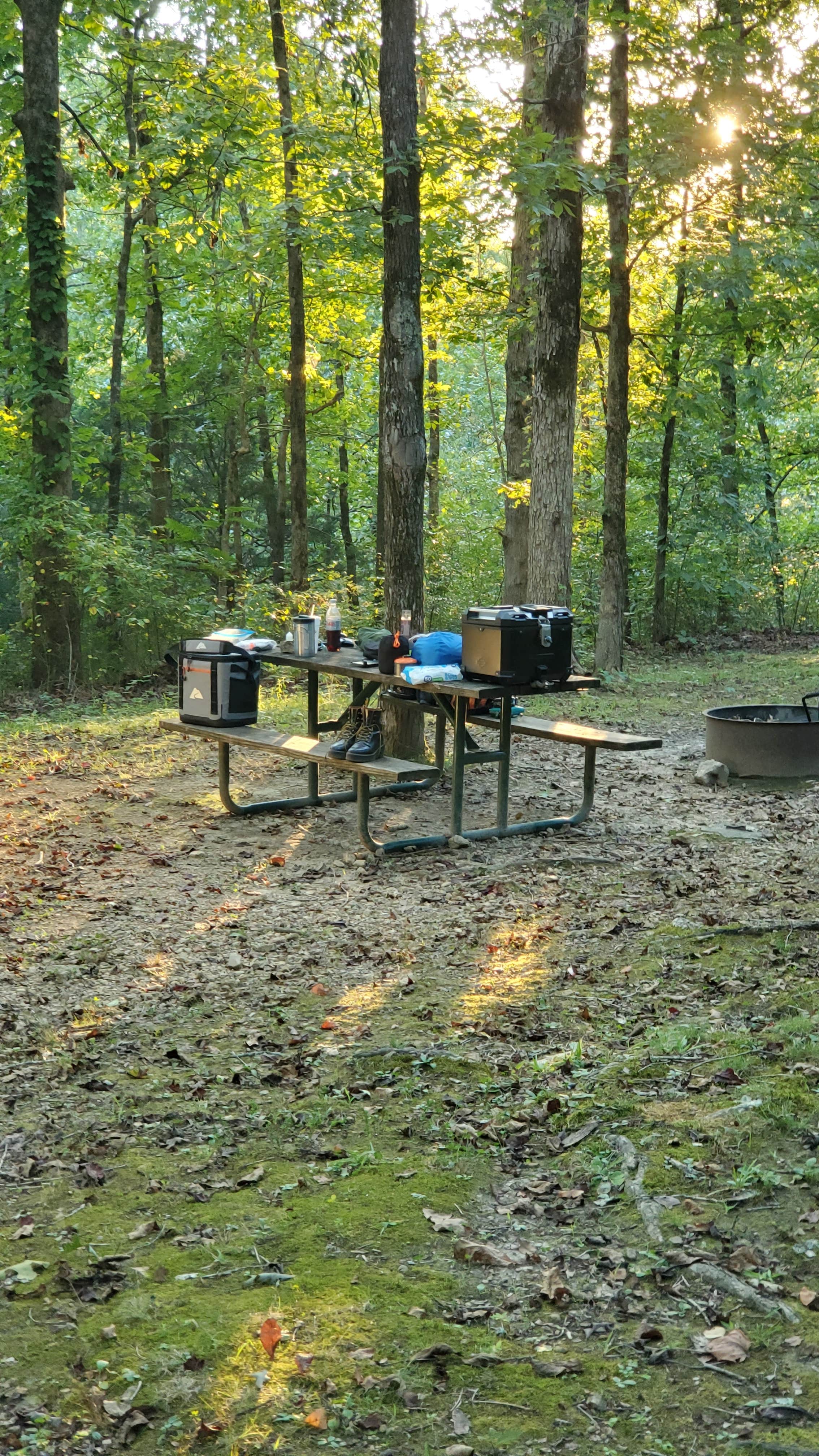 Robert D.'s photo at Jeff Busby Campground near Brooksville, MS