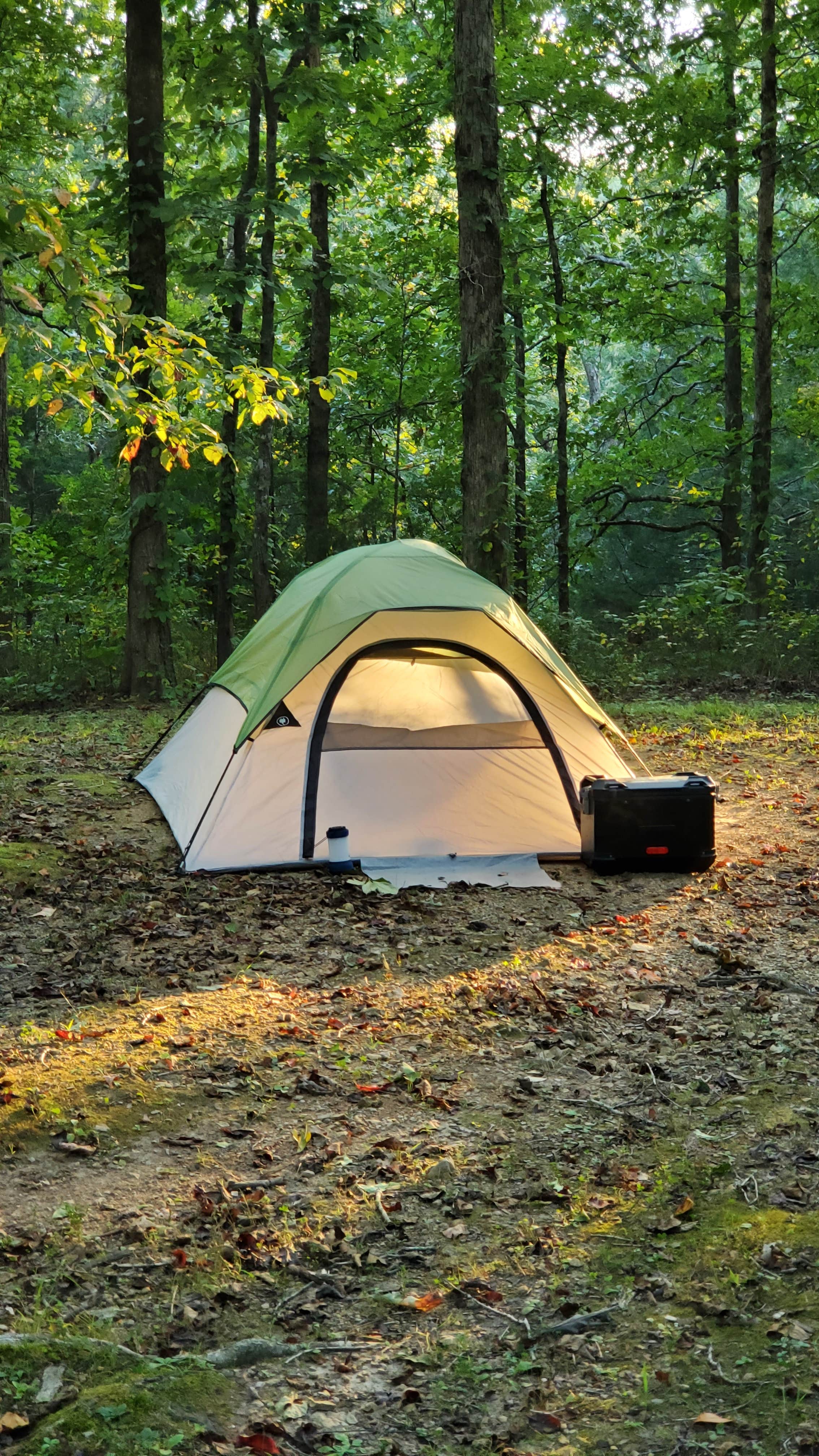 Camping near Lake Tiak-O'Khata Campground: Jeff Busby Campground, Ackerman, Mississippi