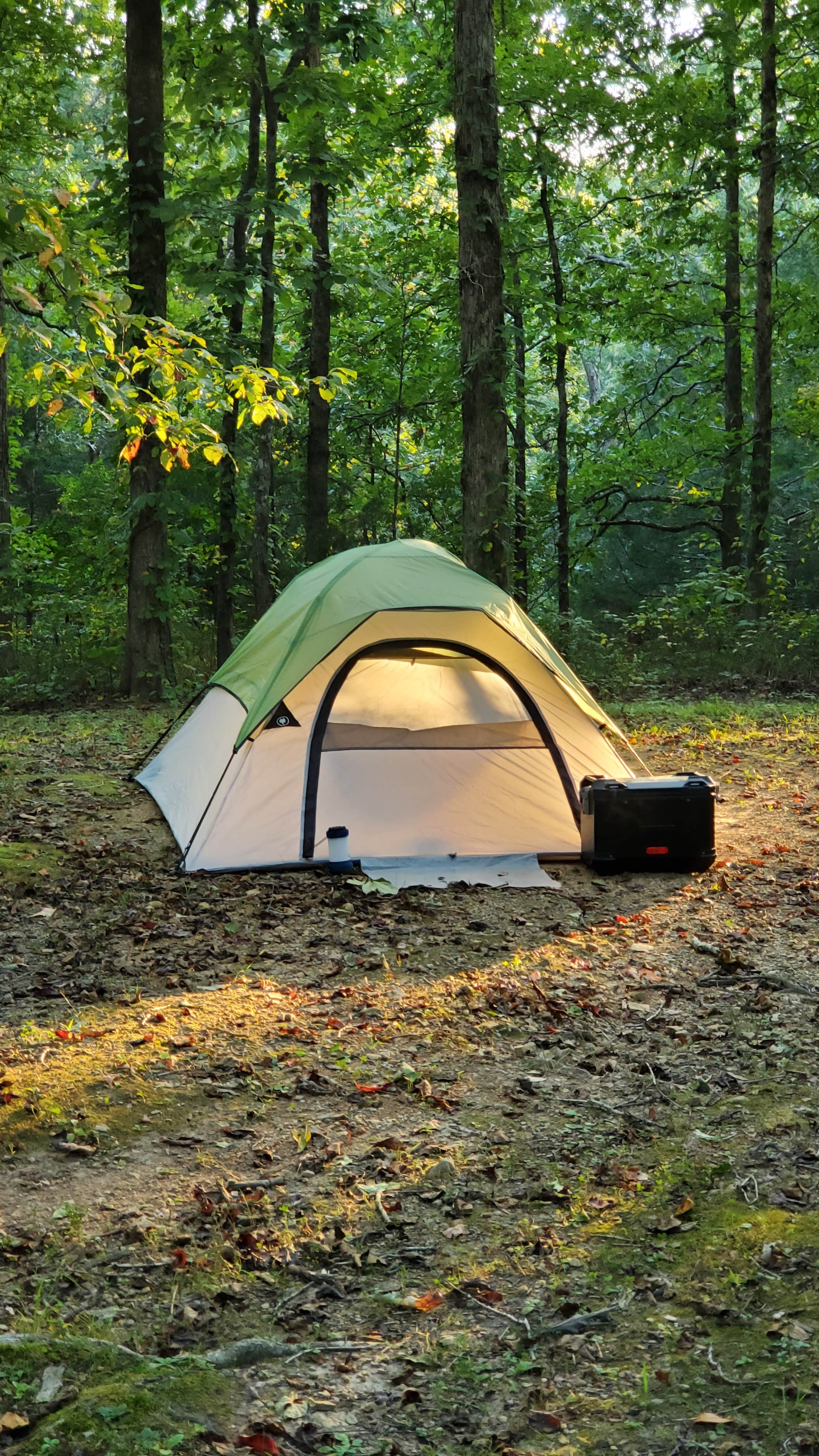 Jeff Busby Campground | Ackerman, MS