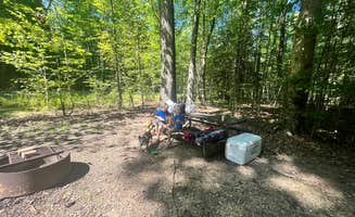 Ian B.'s photo of camping with pets at Hearts Content Recreation Area near Sheffield, PA