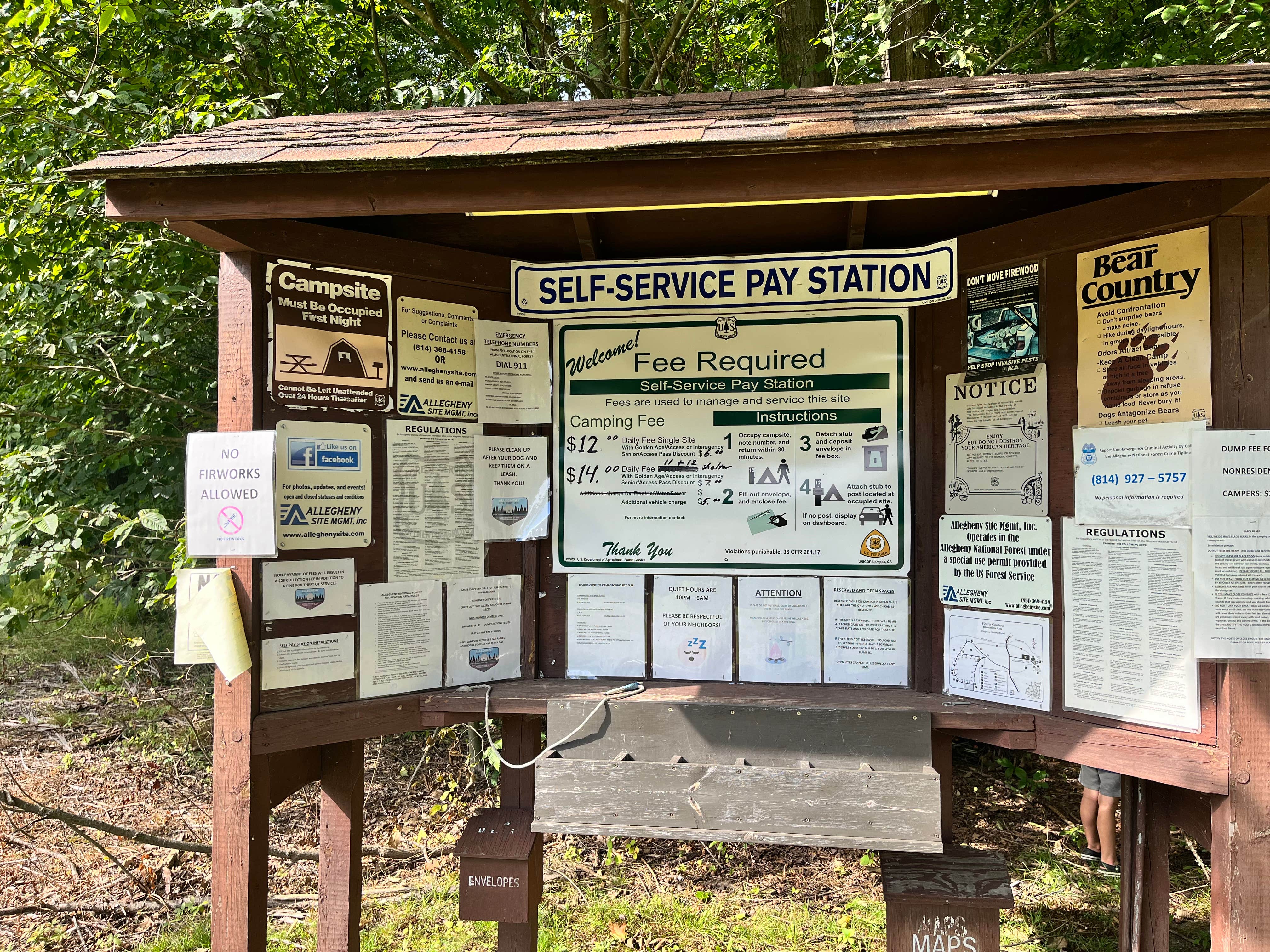 Camper submitted image from Hearts Content Recreation Area - 5