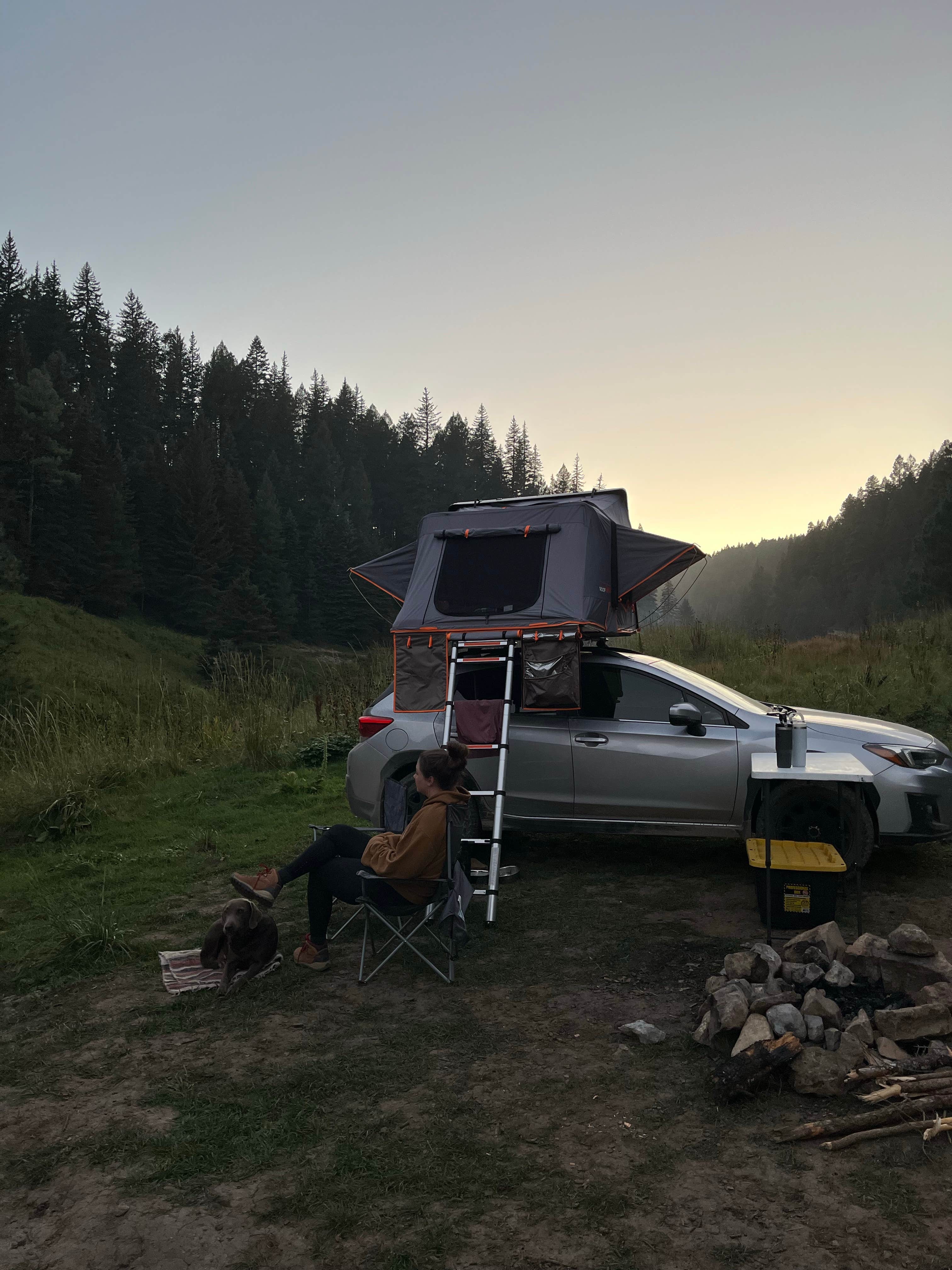 Hailee S.'s photo of camping with pets at Bluff Springs Dispersed Camping near Alamogordo, NM
