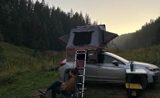 Hailee S.'s photo of camping with pets at Bluff Springs Dispersed Camping in New Mexico