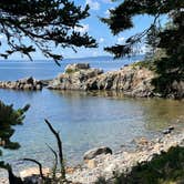 Review photo of Schoodic Woods Campground — Acadia National Park by B M., September 4, 2023