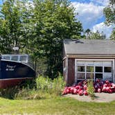 Review photo of Schoodic Woods Campground — Acadia National Park by B M., September 4, 2023