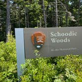 Review photo of Schoodic Woods Campground — Acadia National Park by B M., September 4, 2023