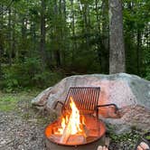 Review photo of Camden Hills State Park Campground by B M., September 4, 2023