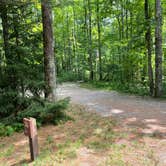 Review photo of Camden Hills State Park Campground by B M., September 4, 2023