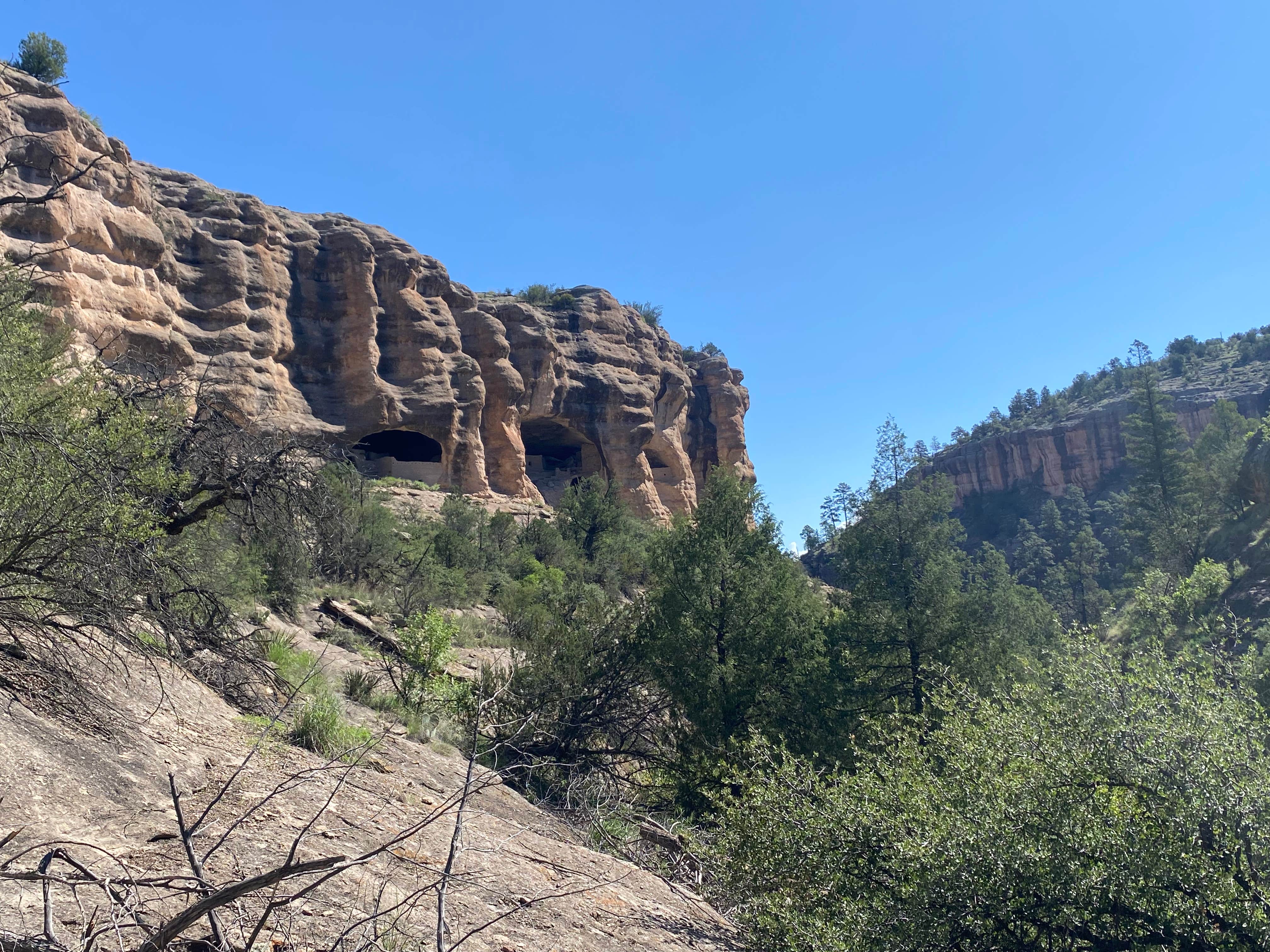 Camper-submitted photo at Upper Scorpion Campground near Buckhorn, NM