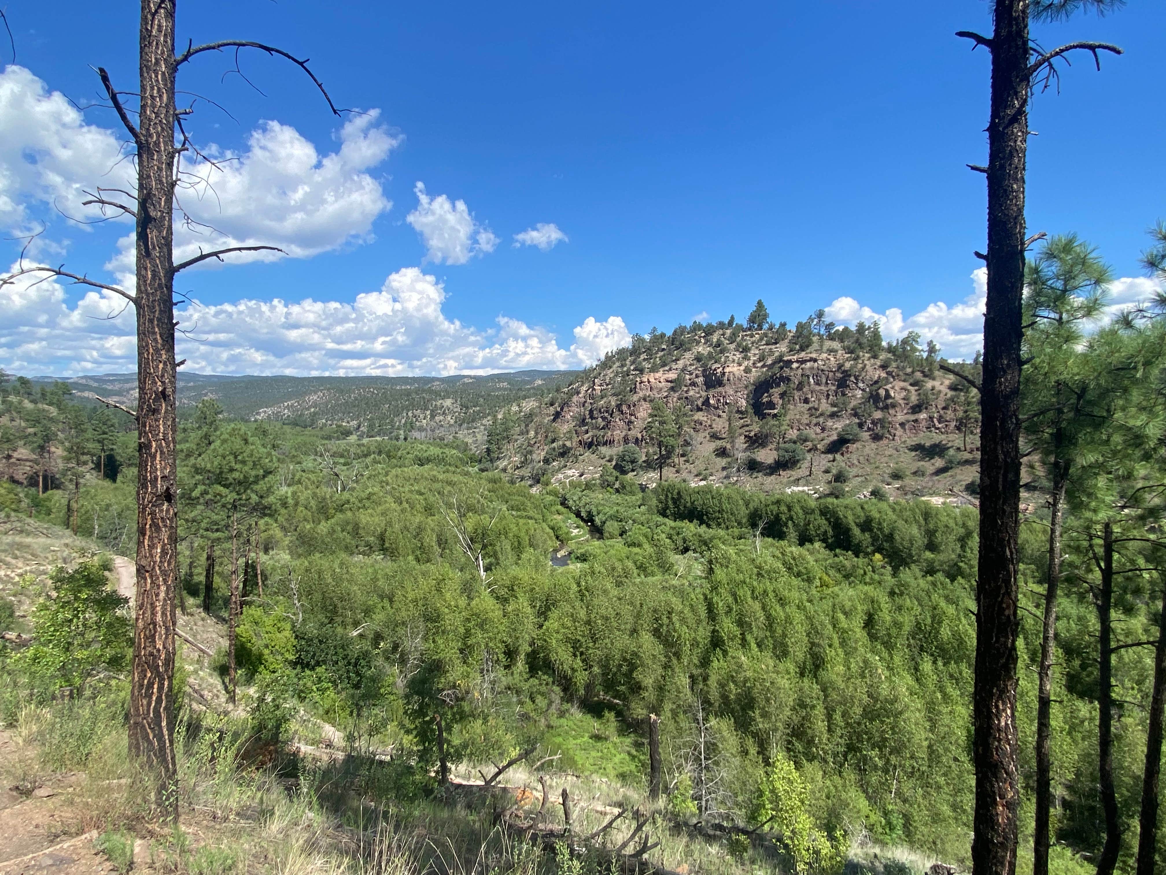 Camper-submitted photo at Upper Scorpion Campground near Buckhorn, NM
