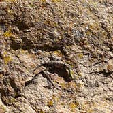 Review photo of Upper Scorpion Campground by Monte W., September 4, 2023