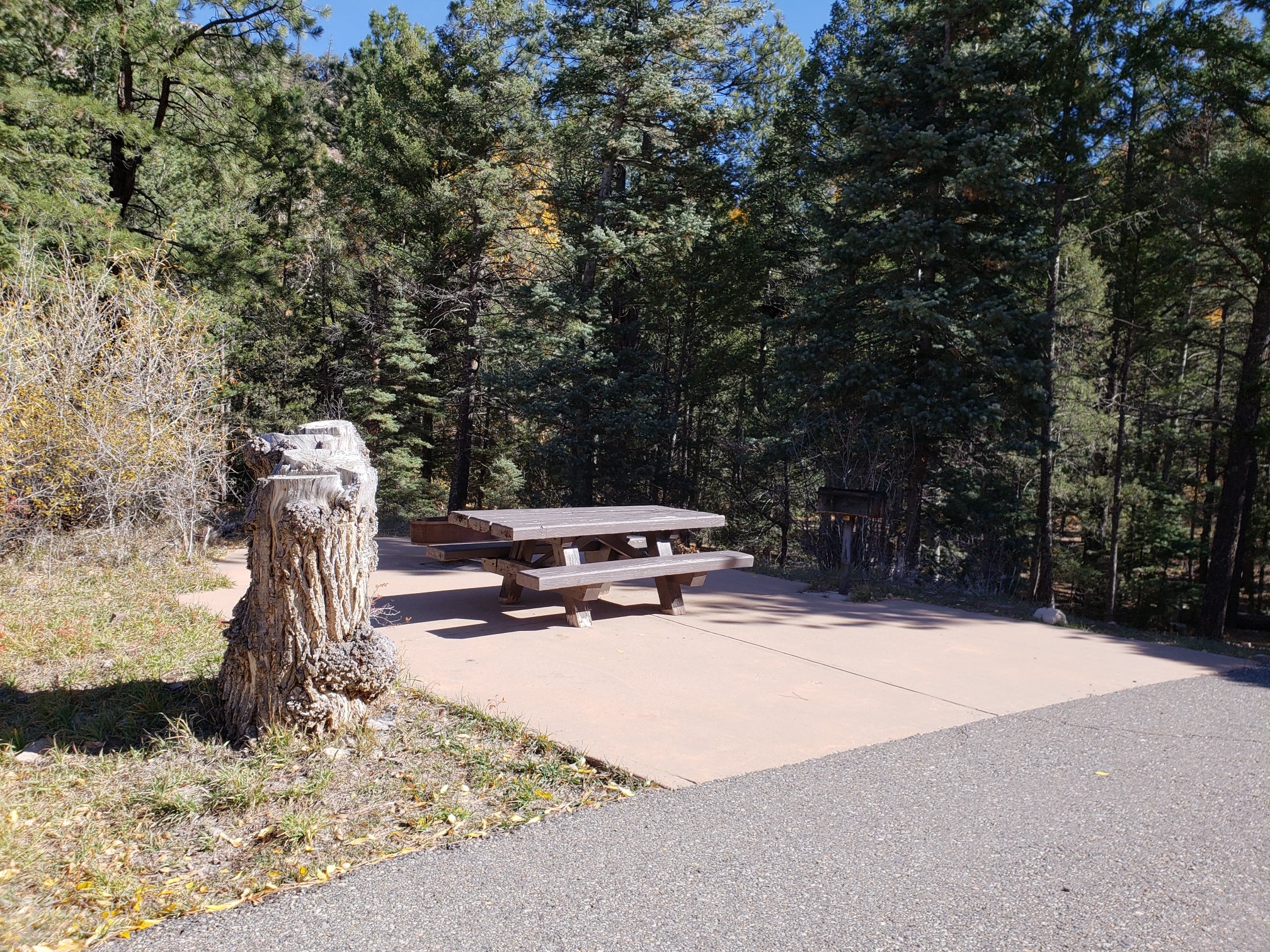 Camper submitted image from Columbine Campground (NM) - 3