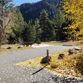 Review photo of Columbine Campground (NM) by Brittany S., October 30, 2018