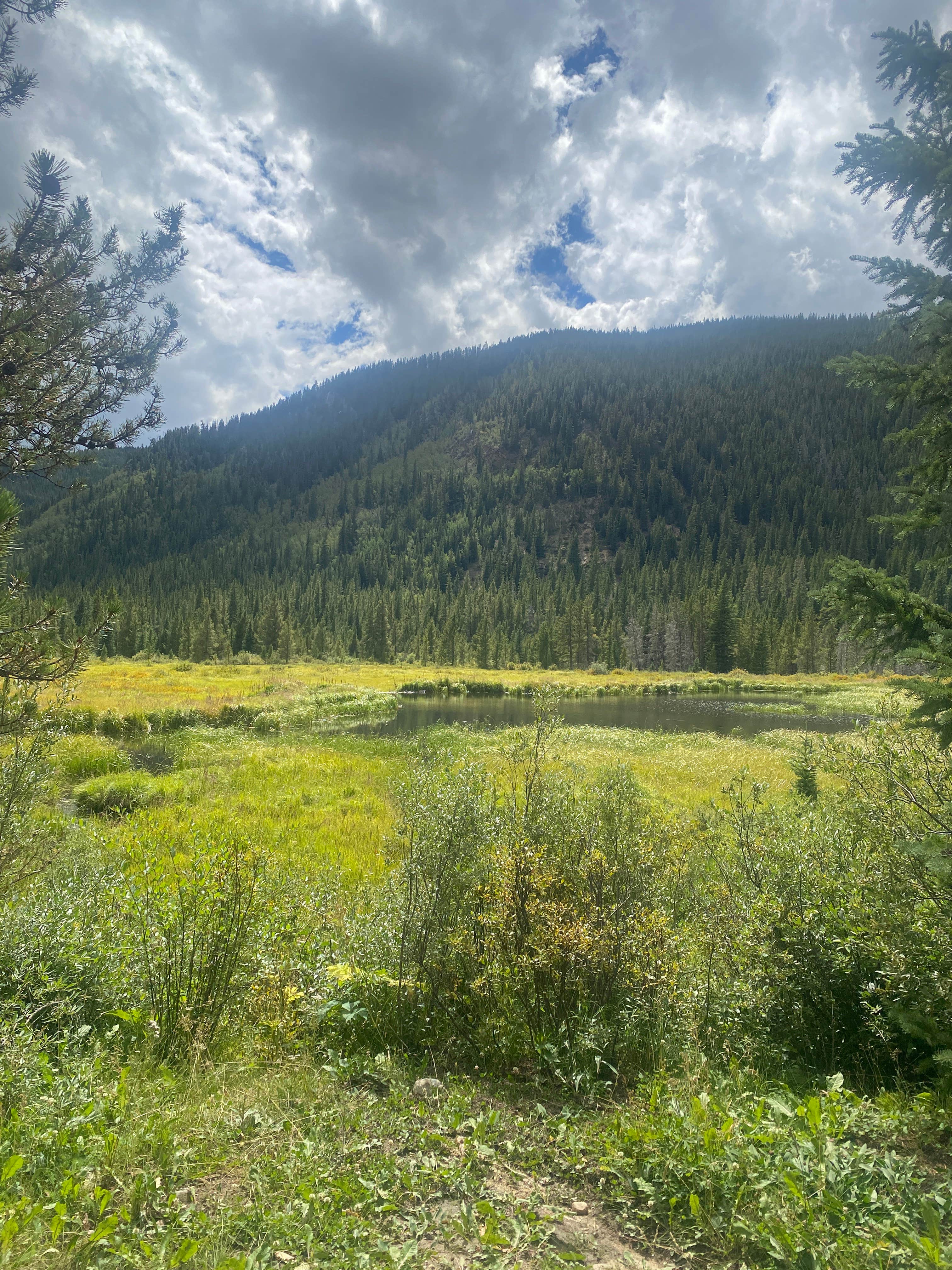 Kirby Gulch Camping Montezuma, CO