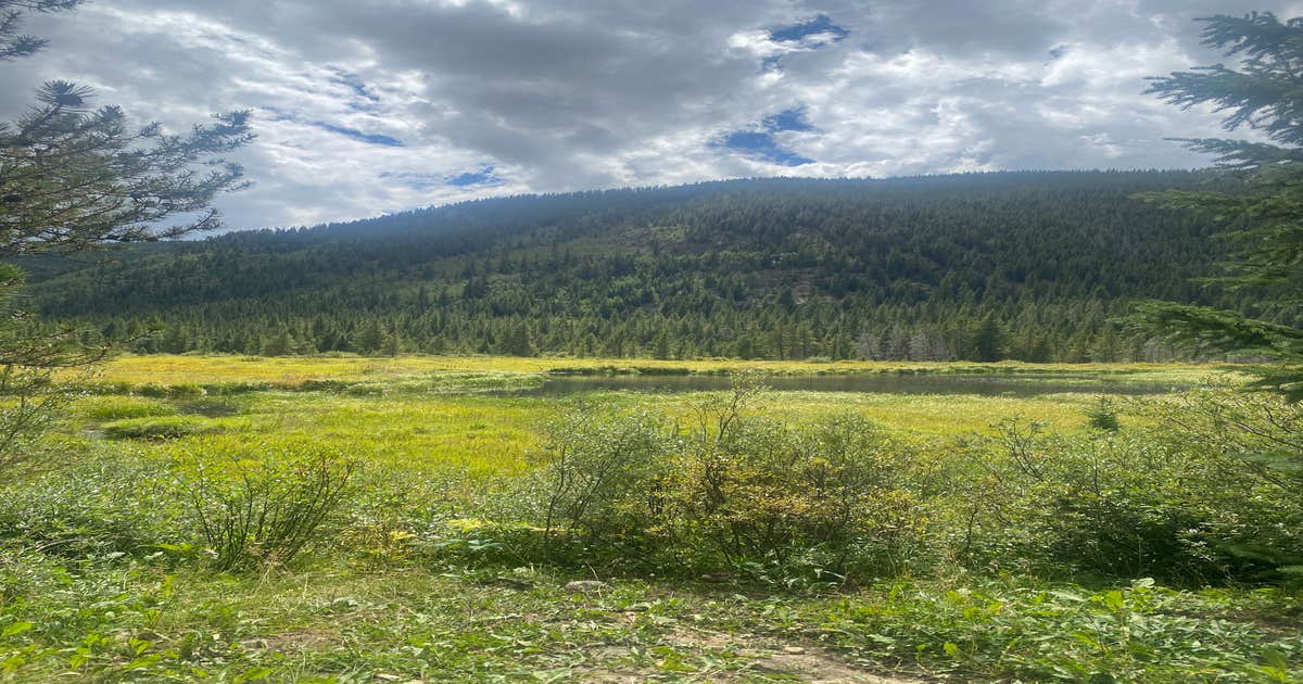 Kirby Gulch Camping Montezuma, CO