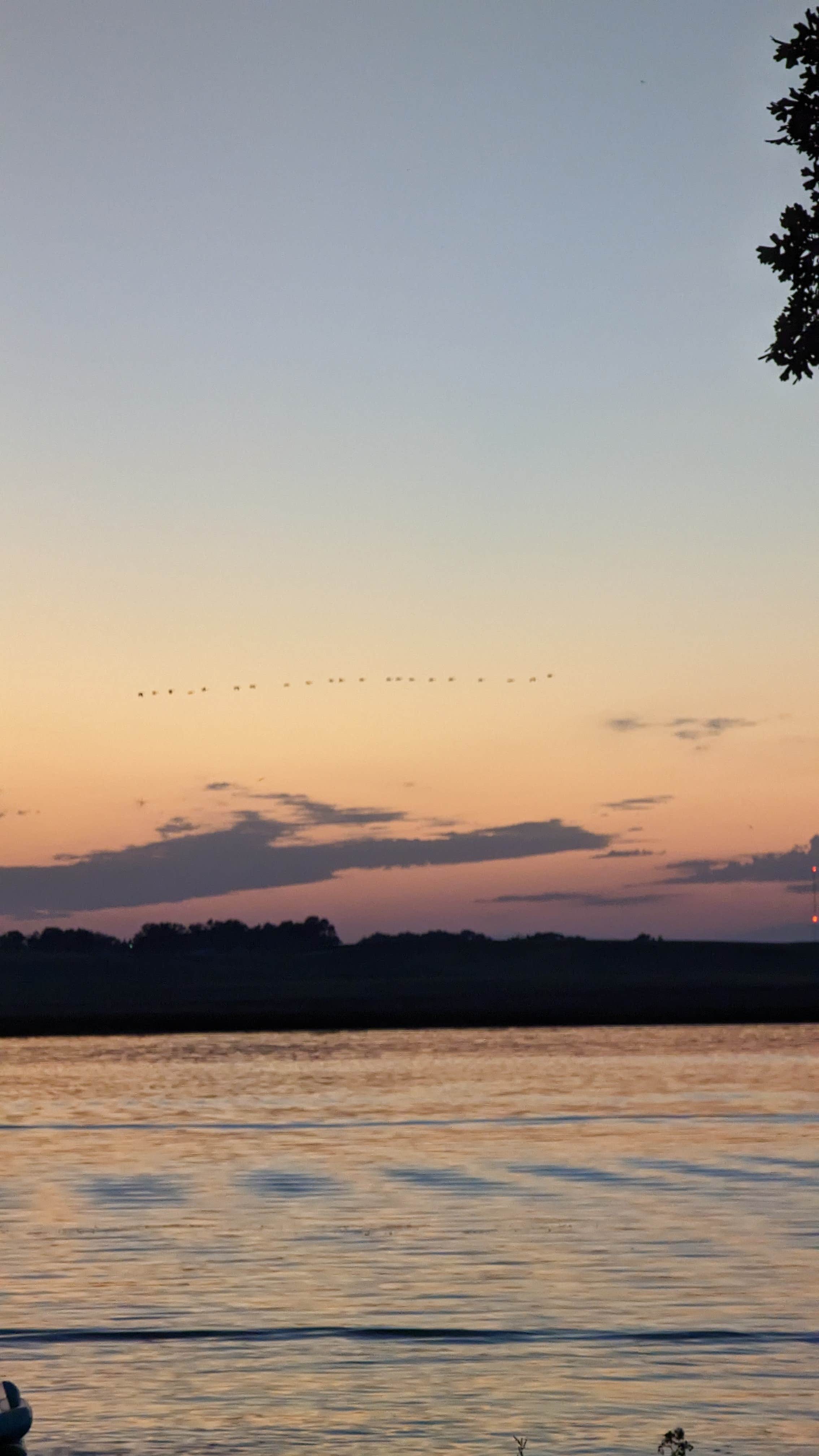 Camper submitted image from Tipsinah Mounds City Park - 1