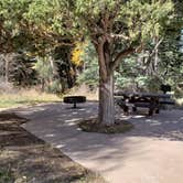 Review photo of Columbine Campground (NM) by Brittany S., October 30, 2018