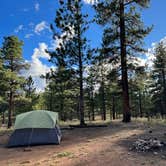 Review photo of FR 090 - dispersed camping by Elodie V., September 5, 2023