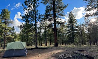Elodie V.'s photo of a dispersed camping area at FR 090 - dispersed camping near Dixie National Forest